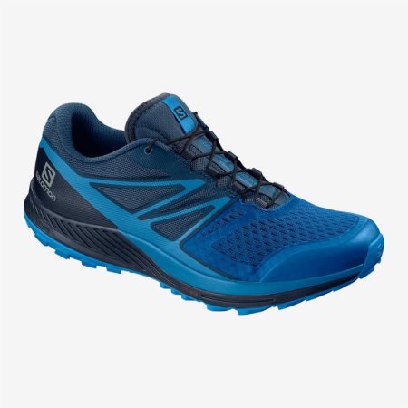 Salomon sense ride 2 best sale gore tex